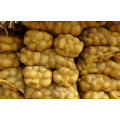 Best Quality Fresh Potato Wholesale Supplier